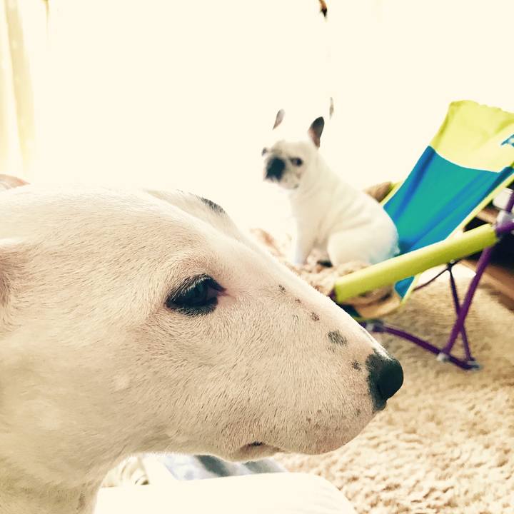 11ec51e3 e48b 4657 af99 096a62aa742e