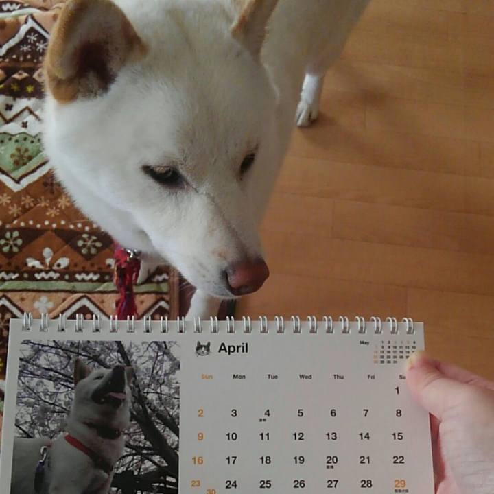 11ec8747 141e 4524 b174 66310460e800