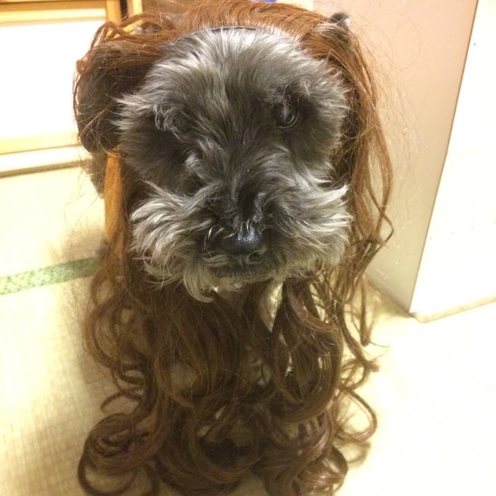 11ec8c7c 8431 422d 8b89 58b4f86f2f31