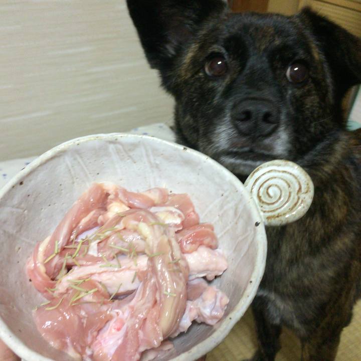 11eceaa8 7be0 4b33 b8a2 eb78df2f5dd6