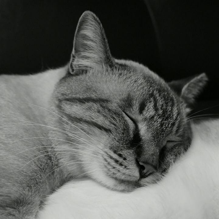 11ed4dd4 b38c 4746 9188 80395496e539