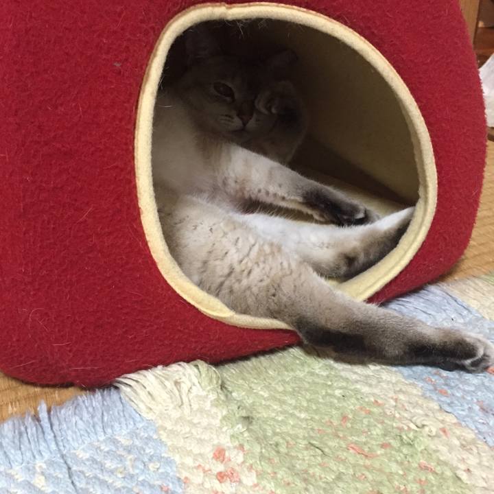 11ed54b8 ddc4 4be0 887d ca53cad59f6f