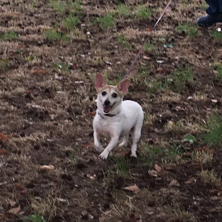 11edf804 6659 4523 bd5d 33bdda895534