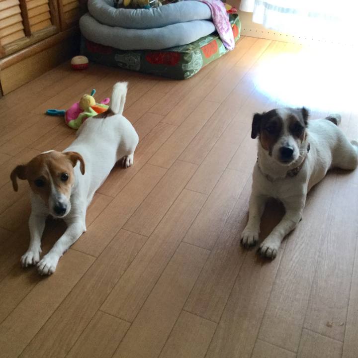 11ee1c9b 06f6 4458 857f 8859ffef72c8