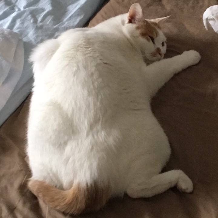 11eec7d5 1c63 4e96 9cc4 9211f51de887