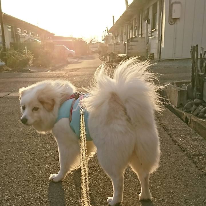 11eed11c 1b52 4202 9e12 5fca1305bdde