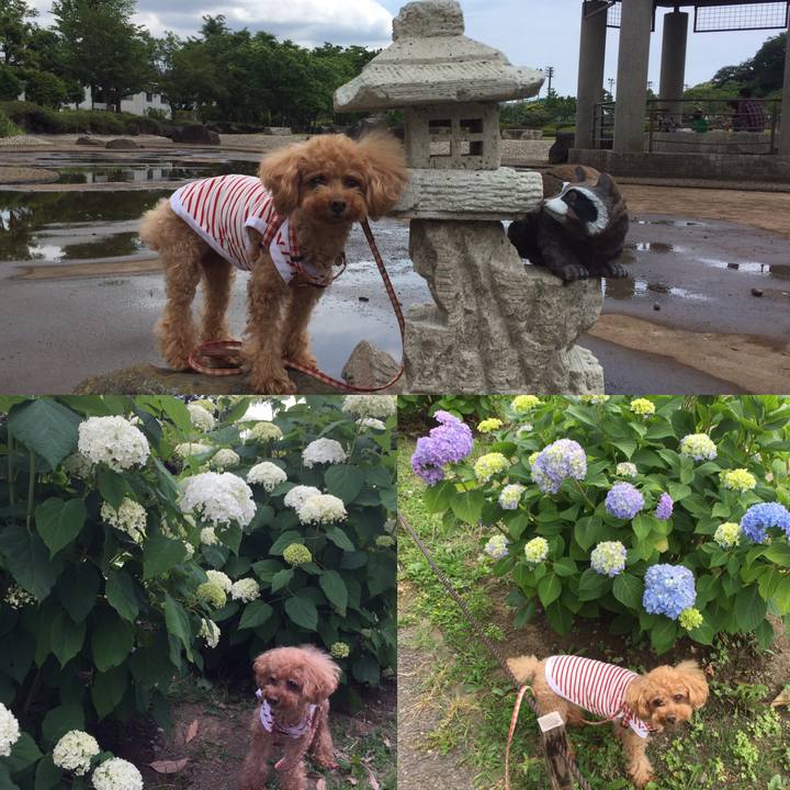 11eef1aa ebc4 45c8 8644 a4a02bb53cc9