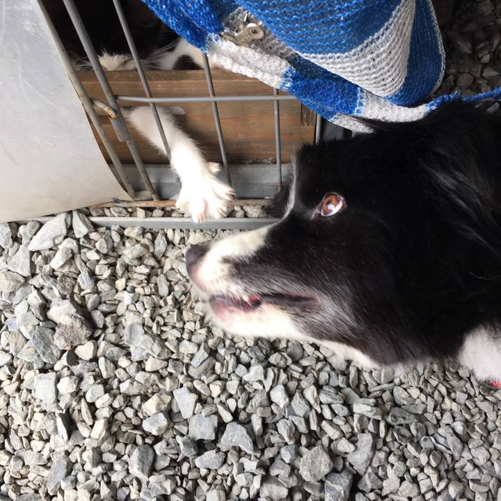 11efe253 9ca2 48b6 b663 6e3776979c68