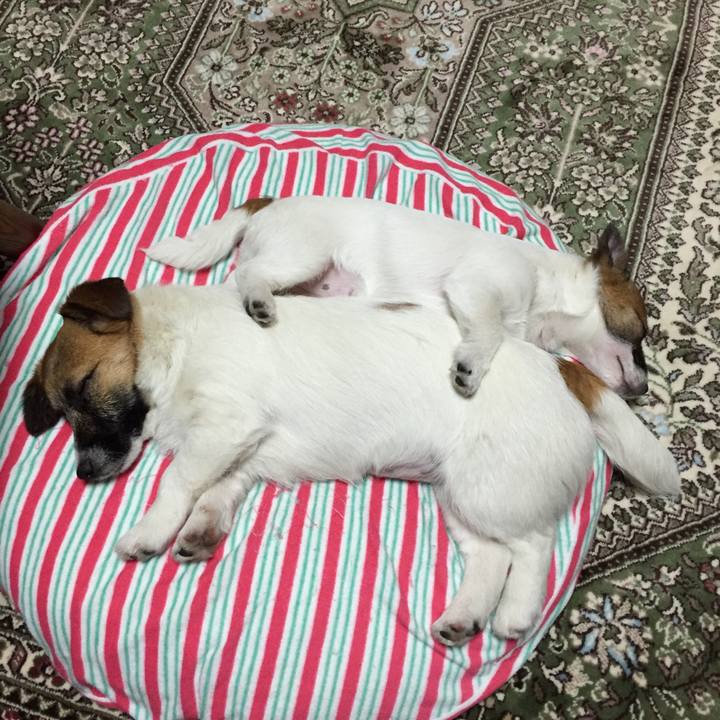 11f10f68 cb00 4a3e ae7e f876f003e2d0