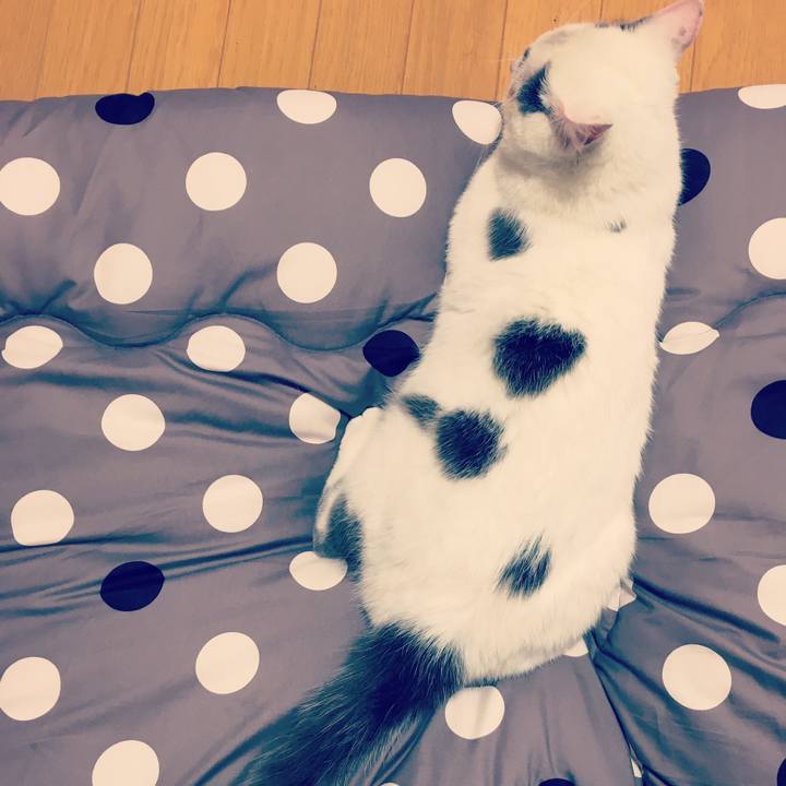 11f11a65 ad35 4490 8e6d 949ee8a2f492