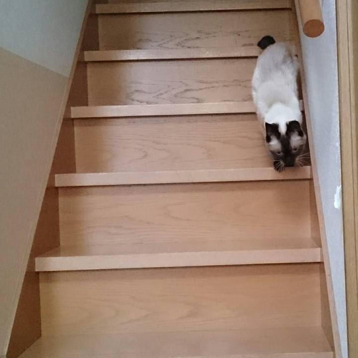 11f1c4c9 c407 4618 a0b6 53aa4100f269