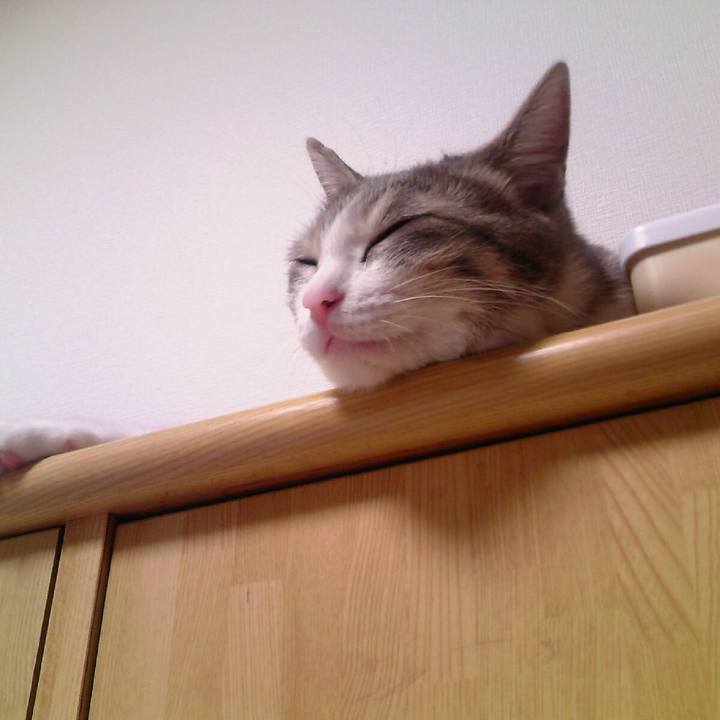 11f1ff75 73af 403c 9e31 de42f171d056