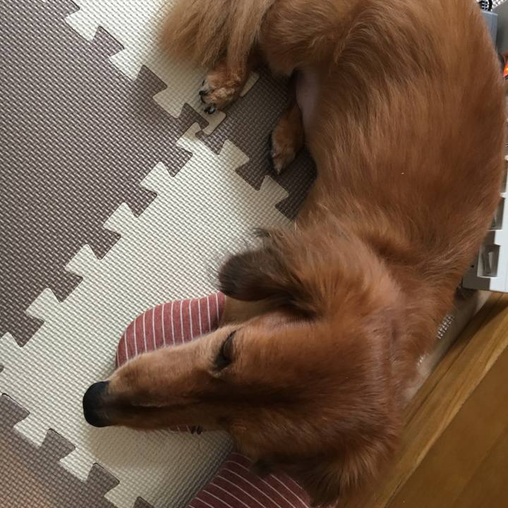 11f222c8 4d2a 4b01 99ad 8133c64b8a1c