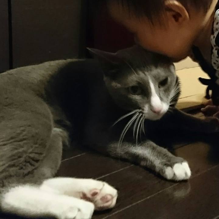 11f235da 0e64 4597 b12c 68221002fe7a