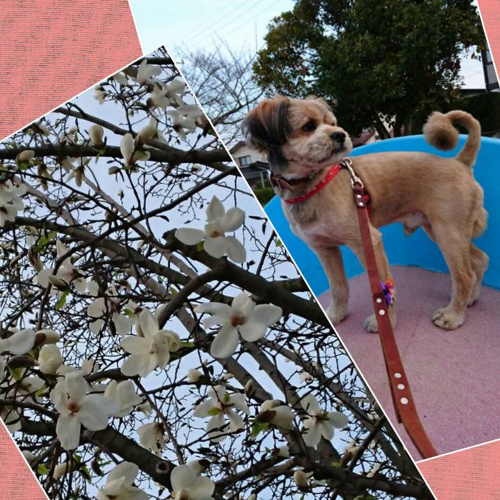 11f2ca3d 8096 4333 824e 63654edddc01