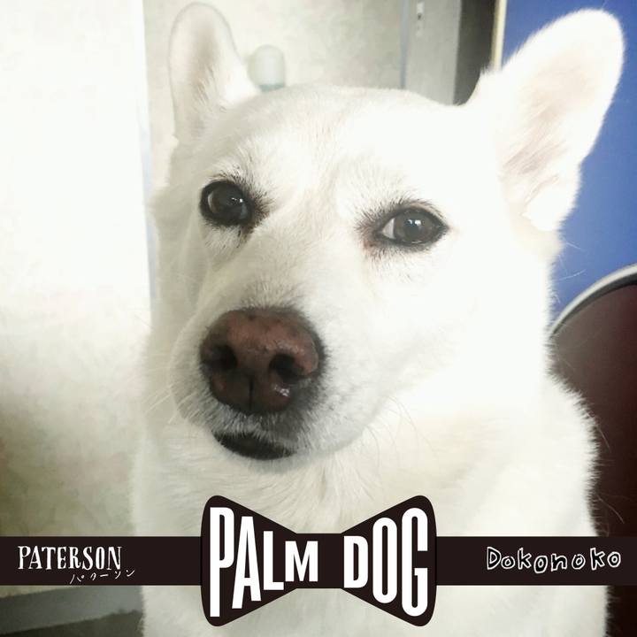 11f2eb56 af31 45fc 912e 63fe7c91858f