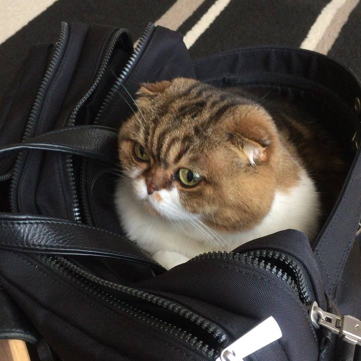 11f30294 5d26 4e4c b311 6b370d160f52