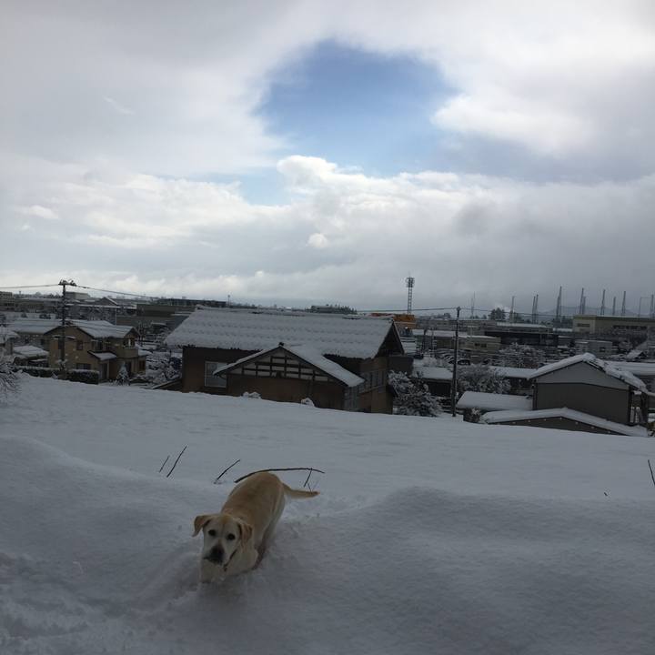 11f4082c d359 4d4c b35b ba17552c1b46