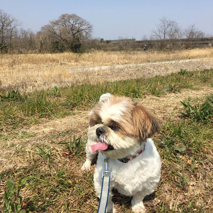 11f44885 dc10 416e 8dcf 18cfea43bb36