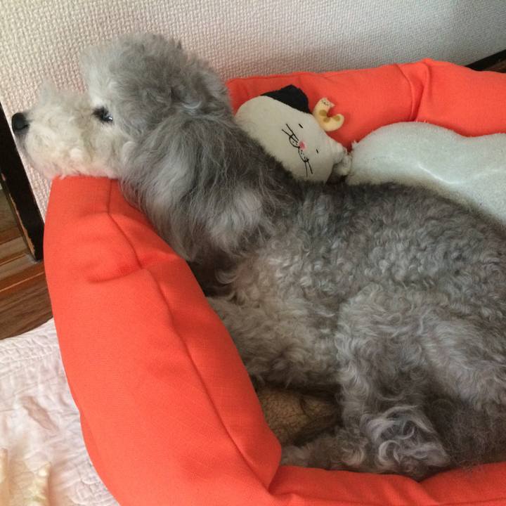 11f4bde8 02ba 4968 a37a f123eba0d991