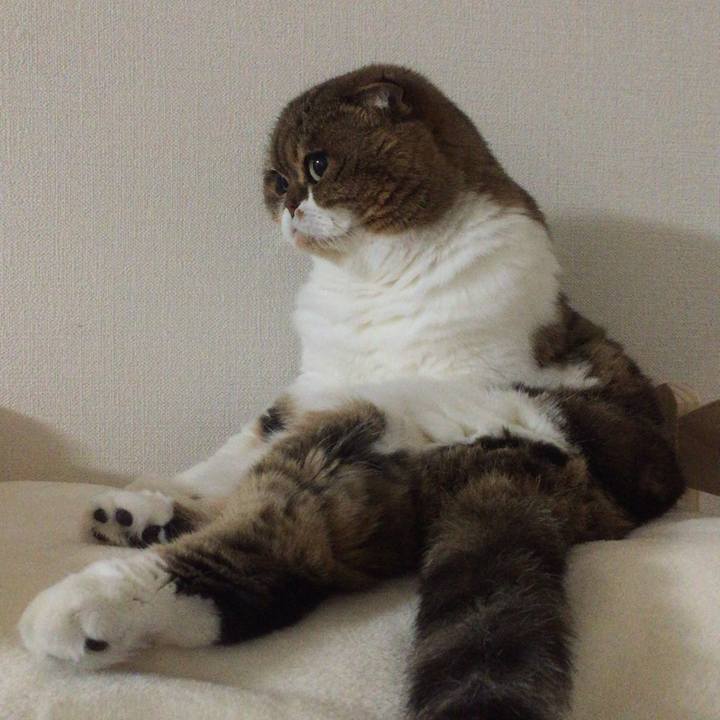 11f4f7e9 70e5 4ed7 9c06 a68ee0e74b23