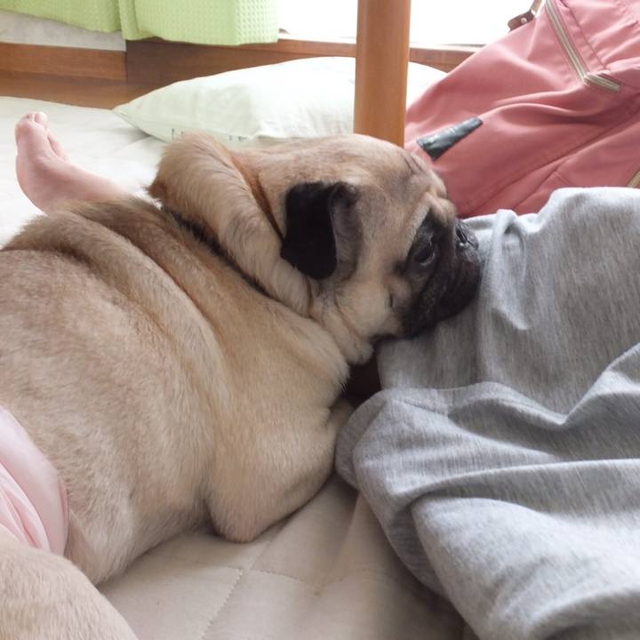 11f4fcf4 eb12 49ec 91a7 421877883ebe