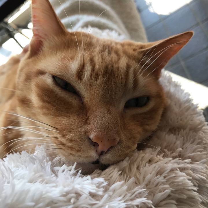 11f52b1f e9d1 46b1 94ed 305755afa8df