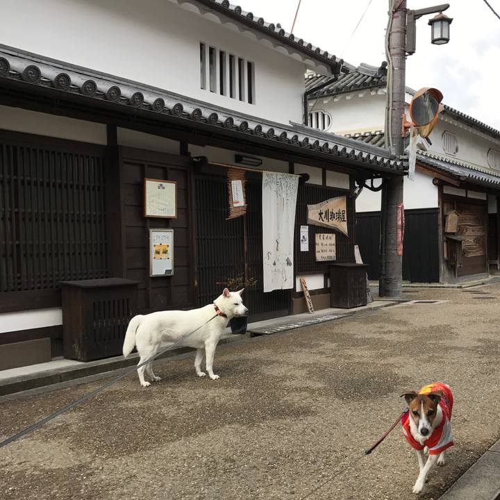 11f621b2 d08e 40d2 a53d c05da3c44ba8