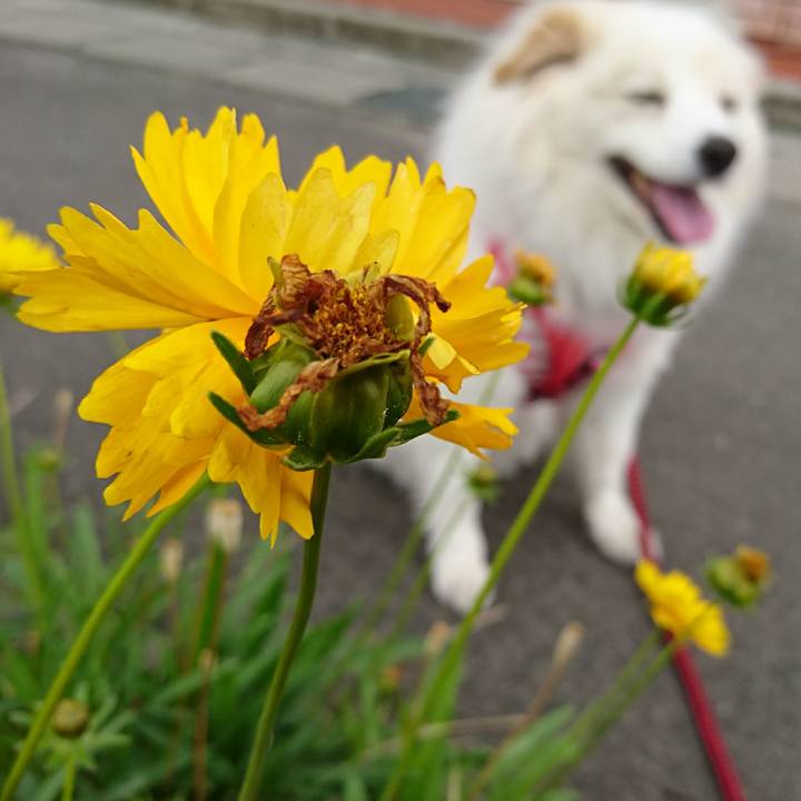 11f6c5e4 4878 4dbb 92a9 2937d64c331b