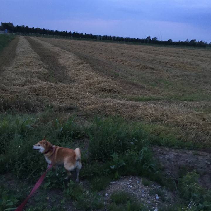 11f70e95 7587 436d 93aa ef45732fcfff