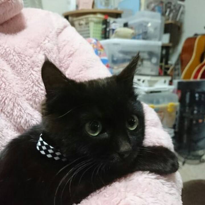 11f726b6 0320 435e 83ca bc2a36ed37ff