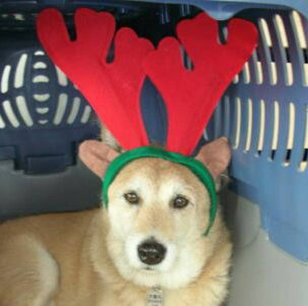 11f81403 509c 4abf a2d8 908b0a79721a