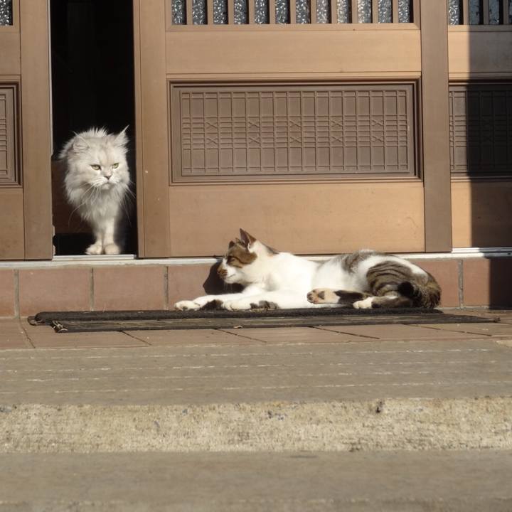 11f84f59 514f 48c0 a5ff c989650b7dfd