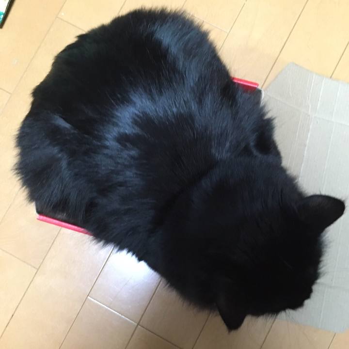 11f86902 4f48 447b 9770 6d4cddd0e2a8