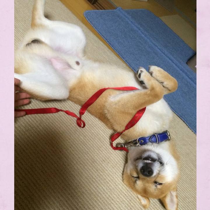 11f87232 08a4 4ac3 bf00 ad159f048479