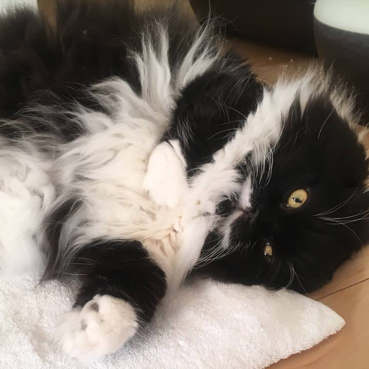 11f9421f 2dbd 4bc3 aa78 660c98d39917