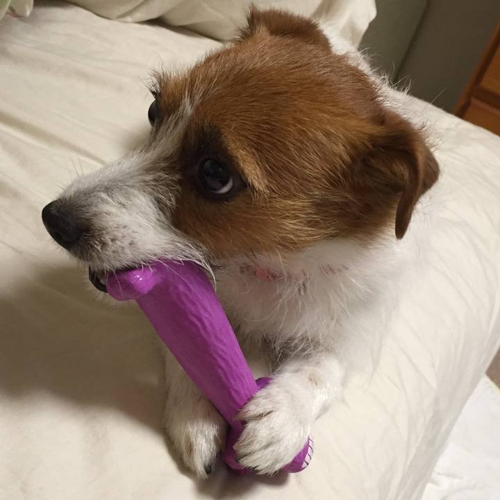 11fa043c 87c6 4585 a972 1877649e05d2