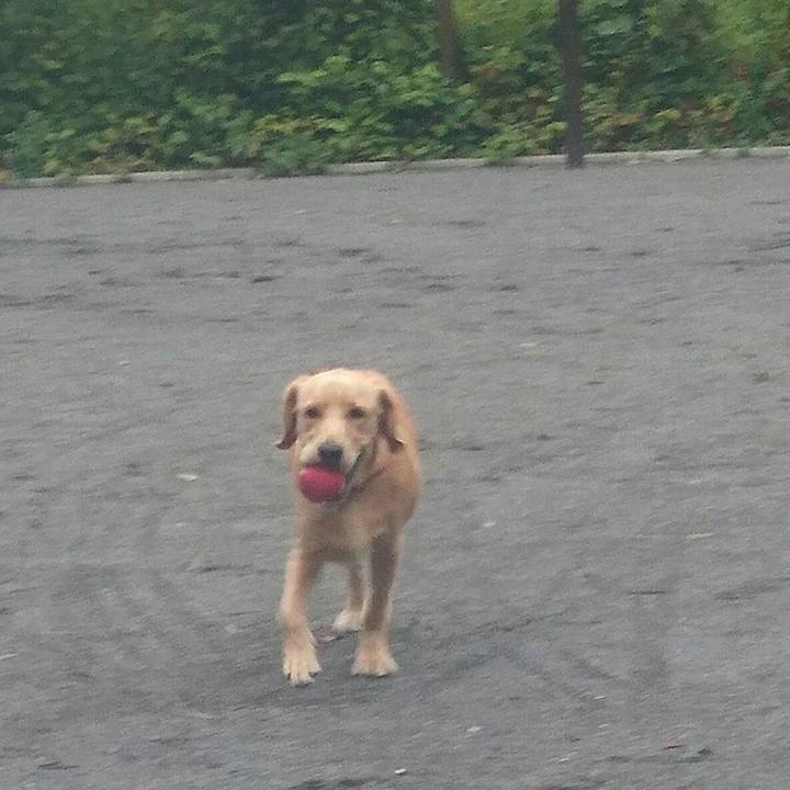 11fa2a9d 183e 4245 bc43 16406a9859c2