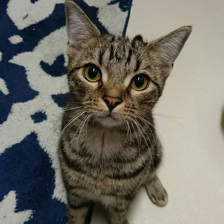 11fa2aea 0099 4102 9965 5b2e75983d41