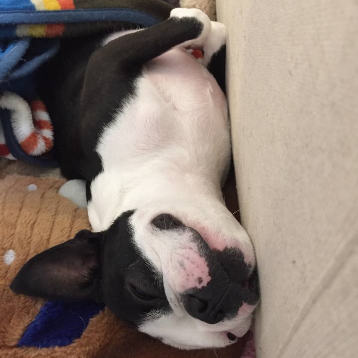 11fa3db8 8677 463c 83d0 51bd9373e0fc