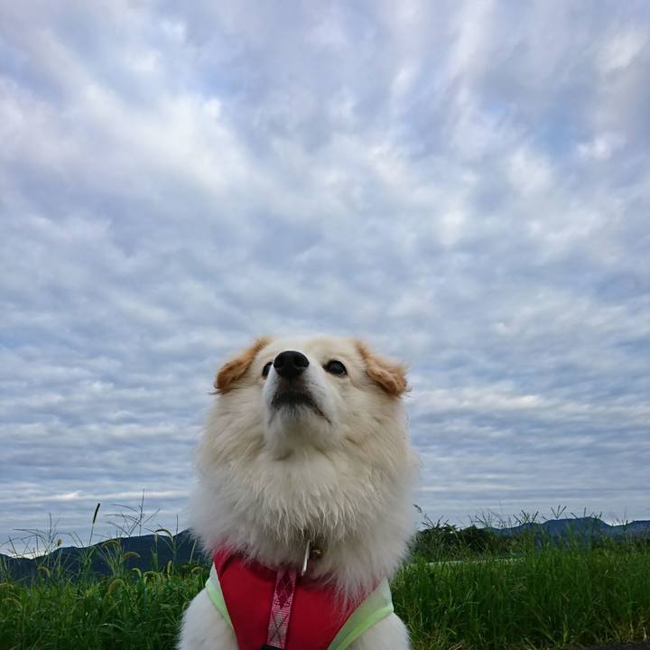 11fa453a de5b 4cc2 8eb8 2e3601932f12