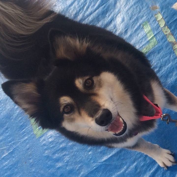 11fa5498 315a 4add a592 c6a684a0f8c2