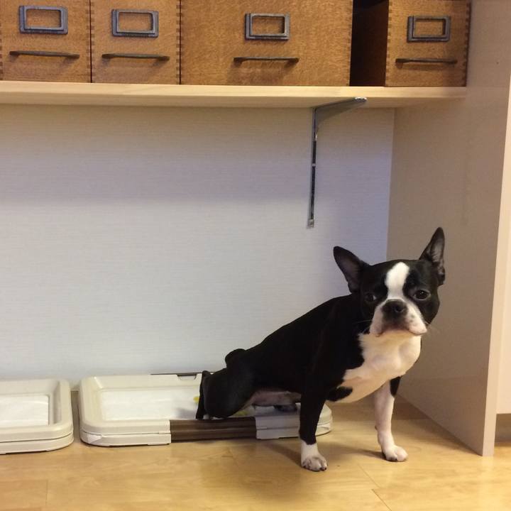 11fa6cab 60f5 4ec6 b130 2012ca902dad