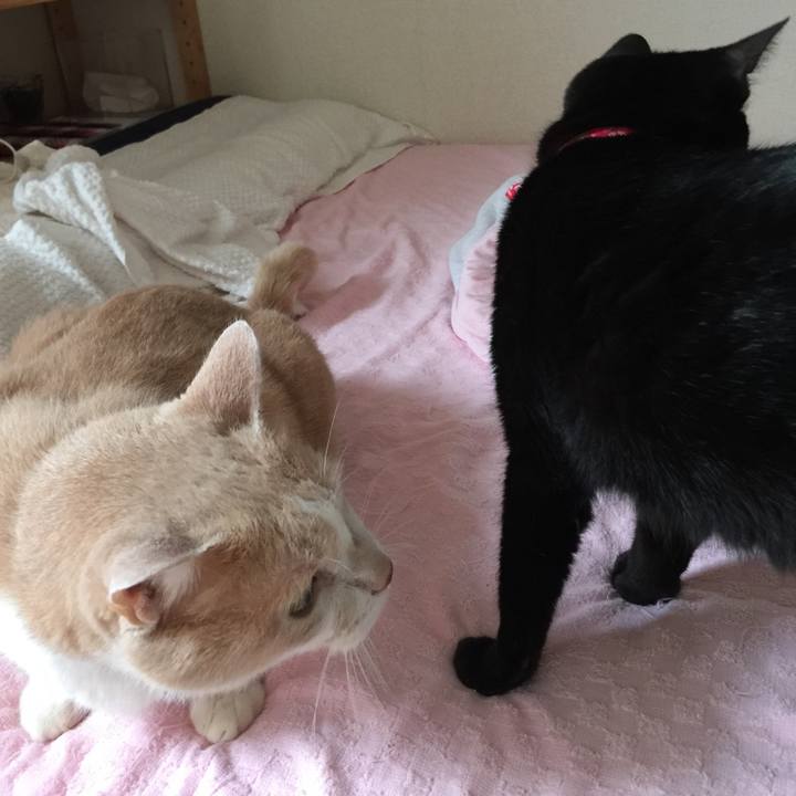 11fa9699 43eb 4085 8237 b9b3e6eef272