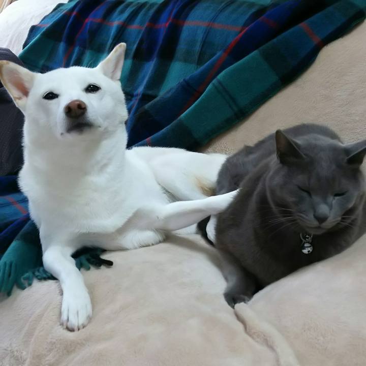 11fa9875 12af 4d1a b8da 200d37600ad4