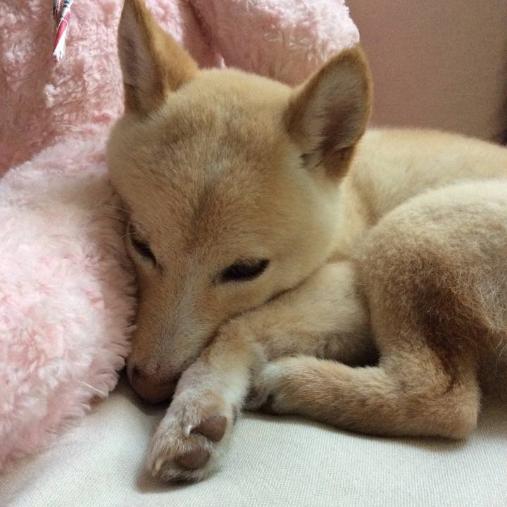 11fb9ed5 3100 4e49 adbf 1b1bb590ceef