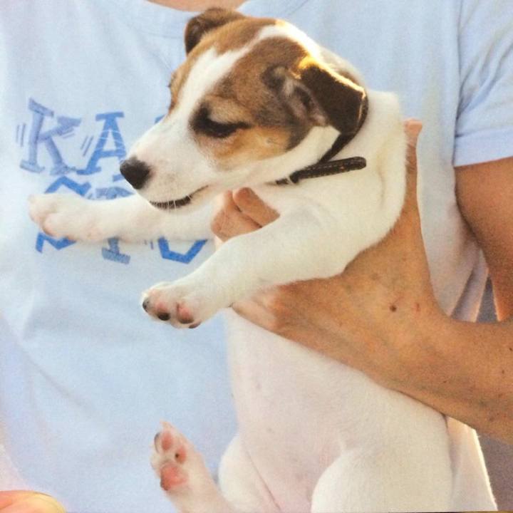 11fbfa32 59fa 40a5 b8c2 6388fee7eb43