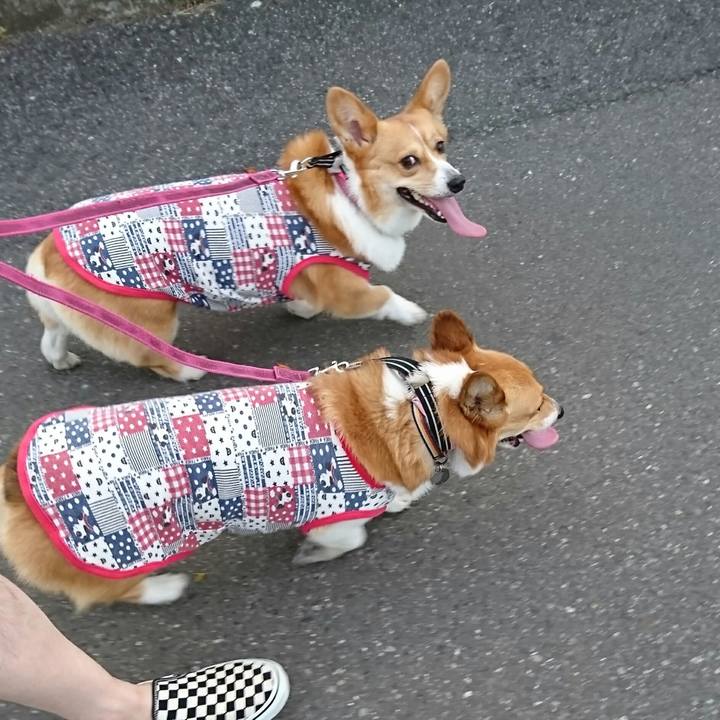 11fc7500 495a 4b94 8c46 e6d1b0614cea