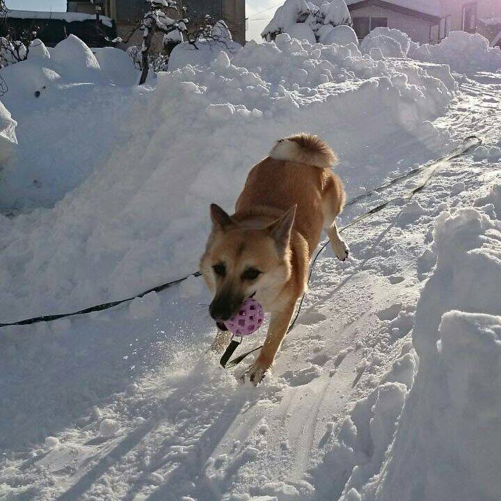 11fcef8d c752 4840 a159 2344ebd68714