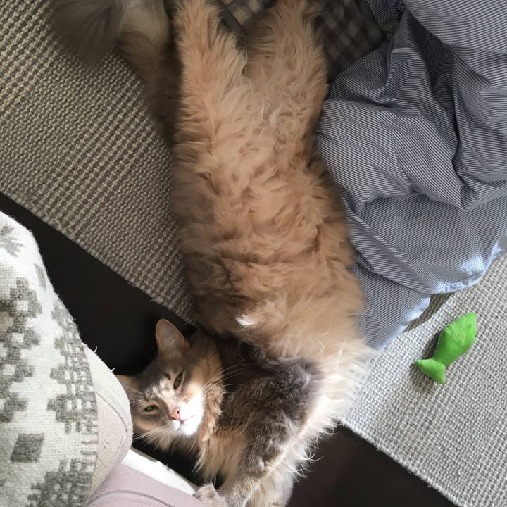 11fd2f6b e24e 4b2b a450 4ace7c389cc4